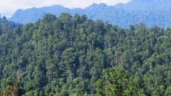 Ancaman di Balik Rencana Tenaga Listrik Nuklir di Halmahera