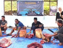 KKPJ Ternate Sembelih 8 Ekor Sapi Sambut Iduladha