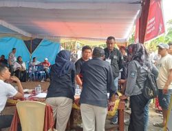 Caleg NasDem Raih Suara Terbanyak di PSU TPS Tabona