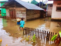 Hujan Deras, Puluhan Rumah di Morotai Terendam Banjir