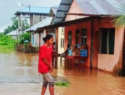 Rumah Warga di Pulau Morotai Terdampak Banjir, BPBD: Totalnya 244