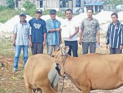 Pemdes Meranti Jaya di Taliabu Salurkan Bantuan untuk Kelompok Tani dan Nelayan