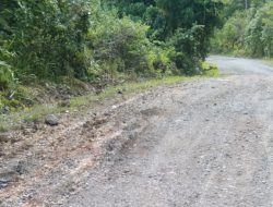 Warga Protes Jalan di Morotai Tak Diperbaiki: Sudah Rusak 5 Tahun