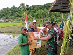 Pemdes Wewemo Morotai Lakukan Penanaman Padi dan Penyerahan Alat Pertanian