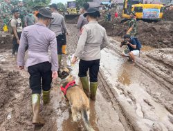 FOTO: Ketika Anjing Pelacak K-9 Polisi Bantu Deteksi Korban Banjir