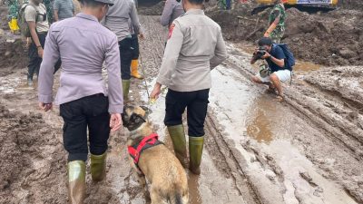 FOTO: Ketika Anjing Pelacak K-9 Polisi Bantu Deteksi Korban Banjir