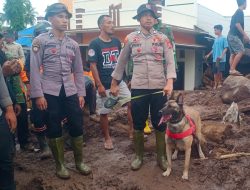 Polisi Terjunkan Anjing Pelacak Saat Pencarian Korban Banjir Bandang di Ternate