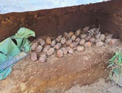 Warga Temukan Bom dan Amunisi Bekas Perang Dunia II di Galela 