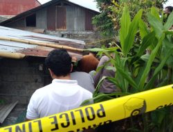 Heboh Penemuan Janin Bayi Perempuan di Kota Ternate