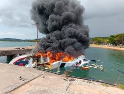 Naik Penyidikan, Polisi Ungkap Speedboat Bella 72 Tak Kantongi Izin Saat ke Taliabu