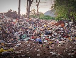 TPA Sampah Ternate Membludak, Warga Mengeluh Bau Busuk