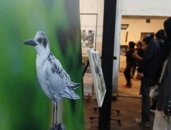 Festival KehatiMU Pamerkan Karya Foto Keanekaragaman Burung di Maluku Utara