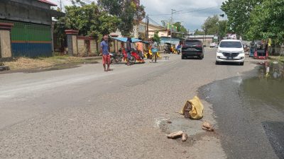Mantap! Tukang Bentor di Morotai Gotong-royong Perbaiki Jalan Rusak