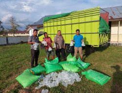 Polisi Ringkus Sopir Lintas dan Amankan 885 Kantong Miras di Halmahera Utara
