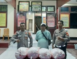 Polisi Kembali Gagalkan Penyelundupan Miras ke Kawasan Tambang Halteng