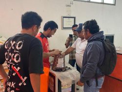 Polda Maluku Utara Tangkap Seorang Karyawan Tambang saat Jemput 662 Gram Ganja
