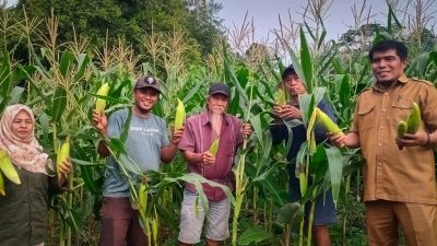 Hasil Tani Dongkrak Stok Pangan Tetap Aman Selama Nataru di Ternate