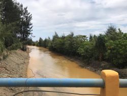 Desa-desa di Lingkar Tambang Halmahera Tengah Mulai Krisis Air Bersih