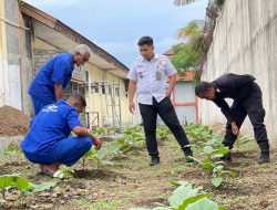 Dukung Program Presiden, Rutan Ternate Manfaatkan Lahan Kosong untuk Tanam Sayuran