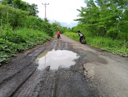Baru Setahun Dibangun, Jalan Poros Desa Nakamura di Morotai Kini Rusak Parah