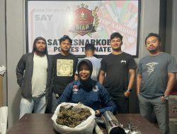 Polisi Tangkap Pria Pengedar 850 Gram Ganja Kering di Ternate