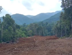 Pemerintah Ditantang, Harus Berani Cabut Izin Tambang PT Priven Lestari di Haltim