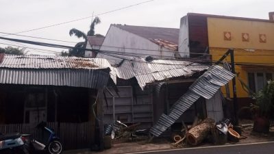 Rumah Terdampak Pohon Tumbang di Ternate Ogah Dibantu Pemerintah