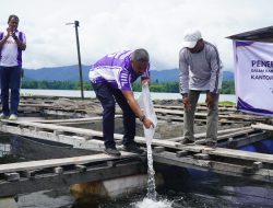 Dukung Program Ketahanan Pangan, Imigrasi Tobelo Tebar Benih Ikan Nila di Galela