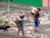 Perempuan Kalaodi dan Kayu Bakar