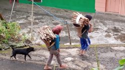 Perempuan Kalaodi dan Kayu Bakar
