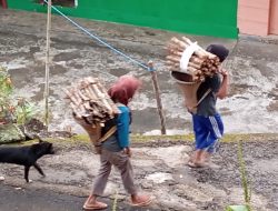Perempuan Kalaodi dan Kayu Bakar