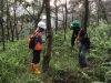 Harita Nickel Lakukan Pemantauan Flora dan Fauna Endemik di Area Terdampak Tambang