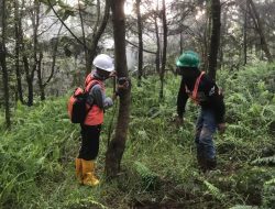 Harita Nickel Lakukan Pemantauan Flora dan Fauna Endemik di Area Terdampak Tambang