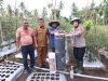 Memanen Hasil Petani di Sulamadaha Ternate