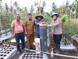 Memanen Hasil Petani di Sulamadaha Ternate