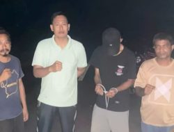 Polres Morotai Tangkap Terduga Pelaku Pengedar Ganja