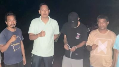 Polres Morotai Tangkap Terduga Pelaku Pengedar Ganja