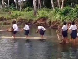 Viral Video Siswa SMPN 18 Loloda Utara Seberangi Sungai dengan Batang Pisang demi Sekolah