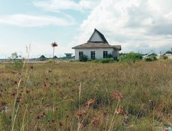 Kesiapan Festival Budaya Morotai Dinilai Gagal