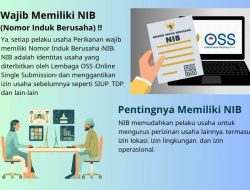 Pelaku Usaha Perikanan di Taliabu Wajib Punya NIB, Begini Regulasinya