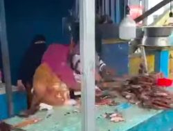 Di balik Viralnya Pedagang Ikan Asap Hamburkan Dagangannya di Ternate