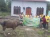 Hari Raya Idul adha, PT NHM Bagikan 61 Ekor Sapi kepada Masyarakat Lingkar Tambang