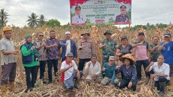 Kapolres Halmahera Utara Ikut Panen Raya Jagung Saat Hari Lingkungan Hidup Sedunia