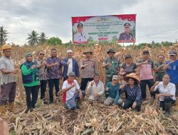 Kapolres Halmahera Utara Ikut Panen Raya Jagung Saat Hari Lingkungan Hidup Sedunia