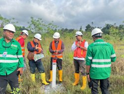 NHM Dukung Verifikasi Kawasan Hutan di Tambang Emas Gosowong