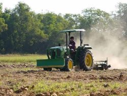 Distan Halut Diduga Sewakan Traktor Jonder untuk Kepentingan Pribadi, Petani Keluhkan Tarif Tinggi