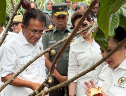 Wakil Ketua Komisi IV DPR Dorong Aksi Nyata Atasi Krisis Budidaya Kakao