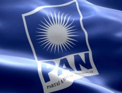 Tenaga Admin DPD PAN Ternate Keluhkan Honor 8 Bulan Tak Dibayar