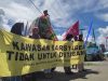 Pemda Halteng Abaikan Status Perlindungan Karst Sagea Demi Tambang