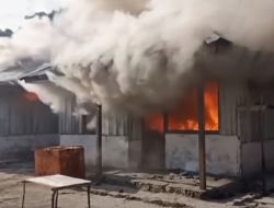 Klaim Tiga Pulau Milik Pemda Raja Ampat, Warga Bakar 5 Unit Rumah